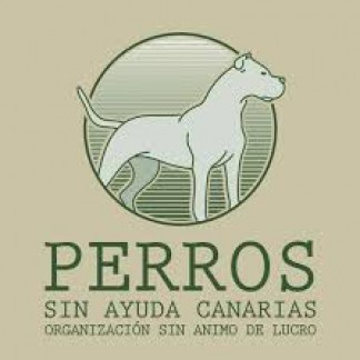 PERROS SIN AYUDA