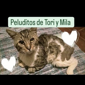 PROTECTORA PELUDITOS DE TORI Y MILA